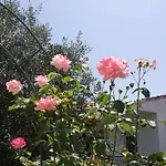 Villa Helena
