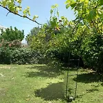 Villa Helena